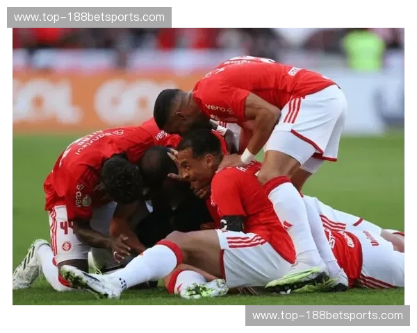 博卡青年vs德尔瓦：南美解放者杯的宿命对决，绿茵场上的激情碰撞